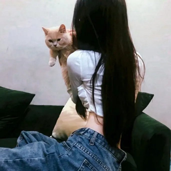 宝莲灯粤语